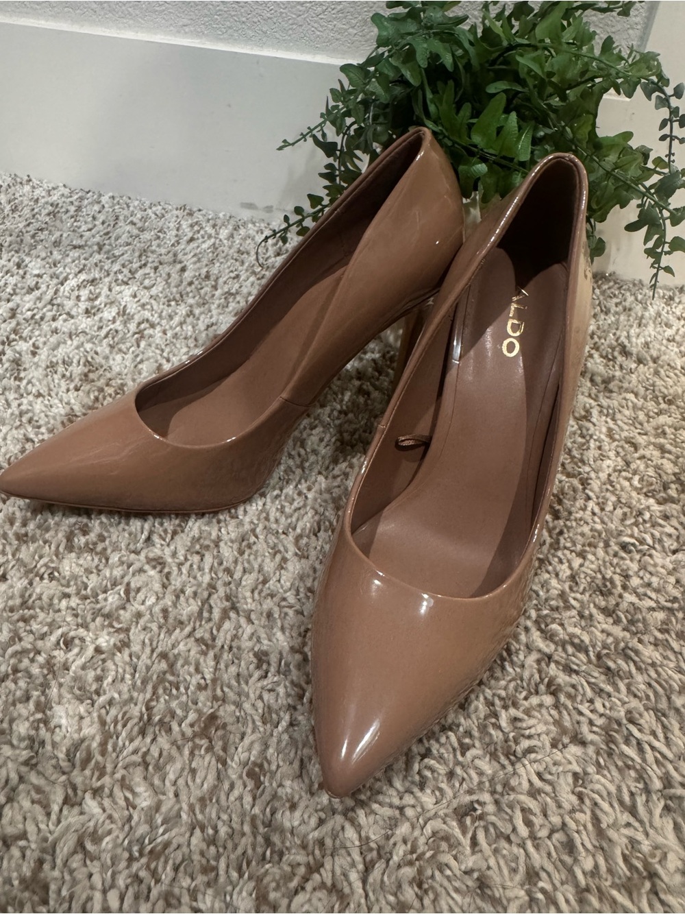 ALDO Patent Pointed-Toe Pumps in Nude Brown